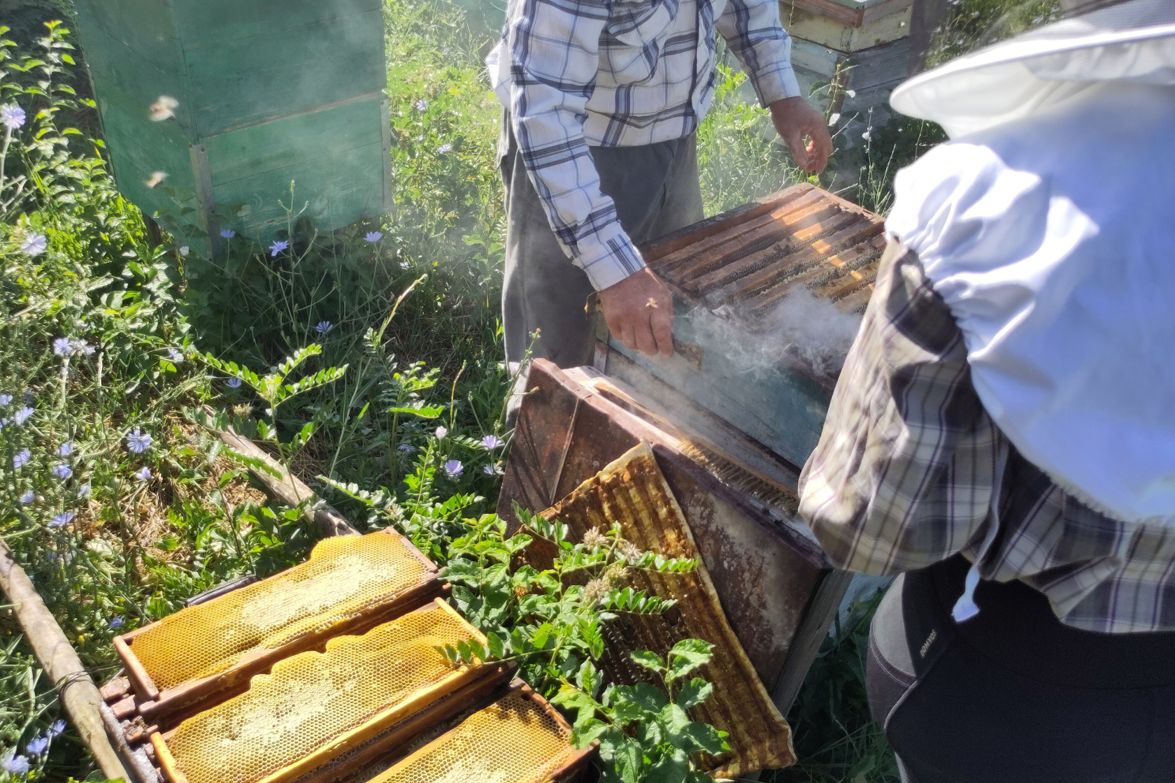 Die Rahmen werden entnommen