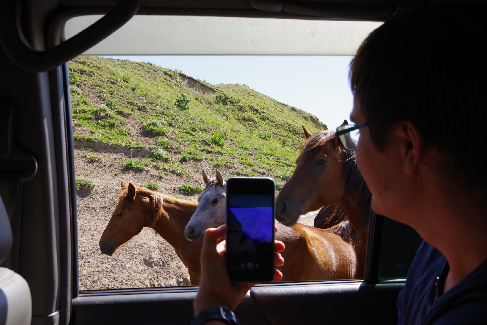 Offroad – zwischen Pferden, Schafen und durch Wasser hindurch