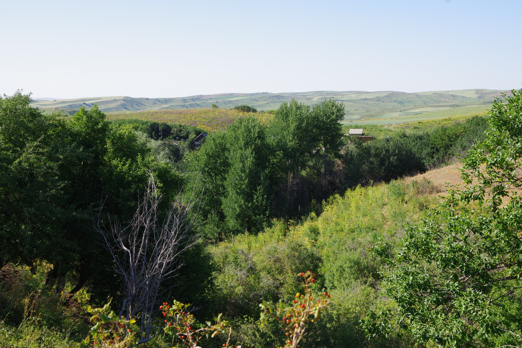 Ausblick auf den Hof