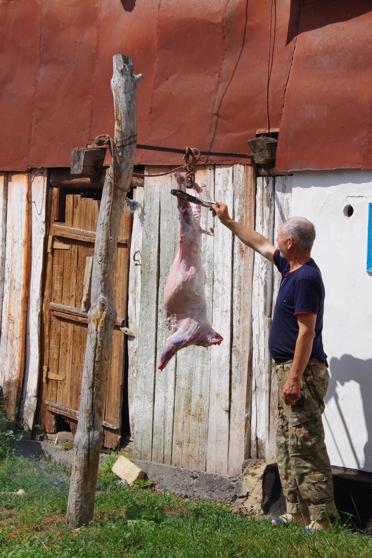 Schlachtung einer Ziege
