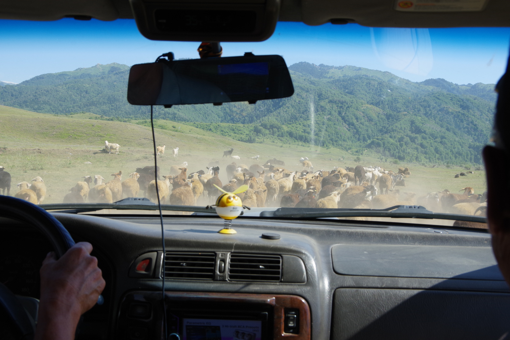 Offroad – zwischen Pferden, Schafen und durch Wasser hindurch