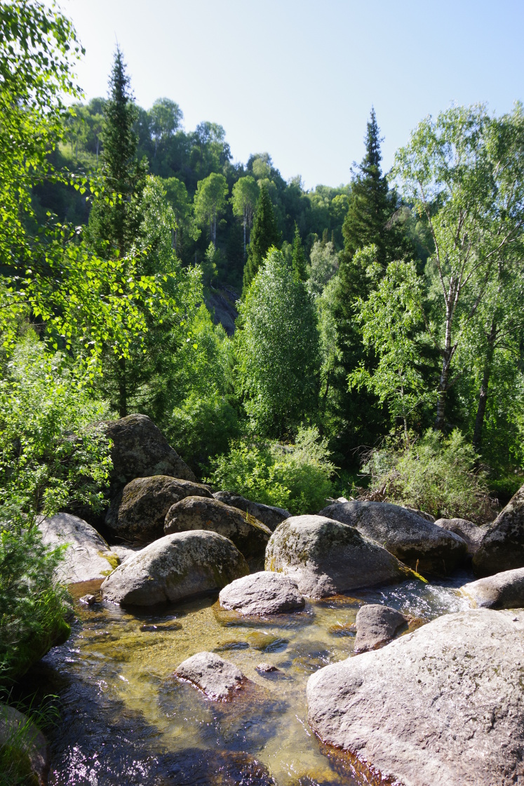 Der Fluss schlängelt sich durch eine wunderbare Landschaft