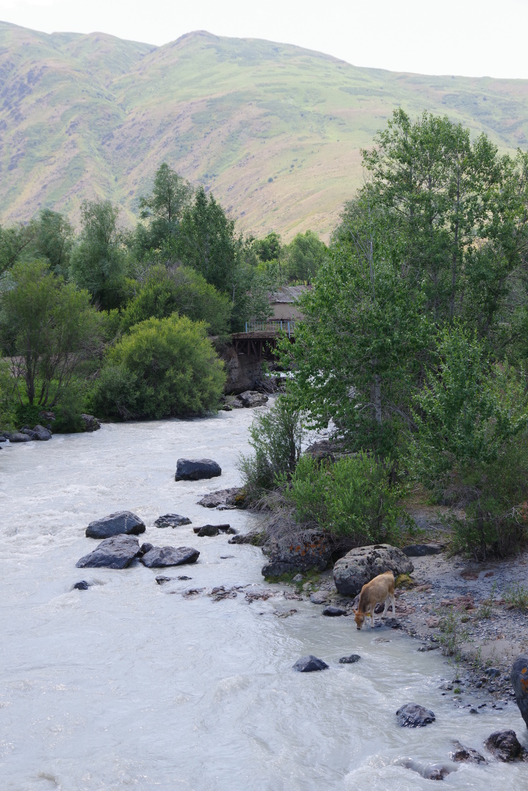 Angeln am Fluss Tentek