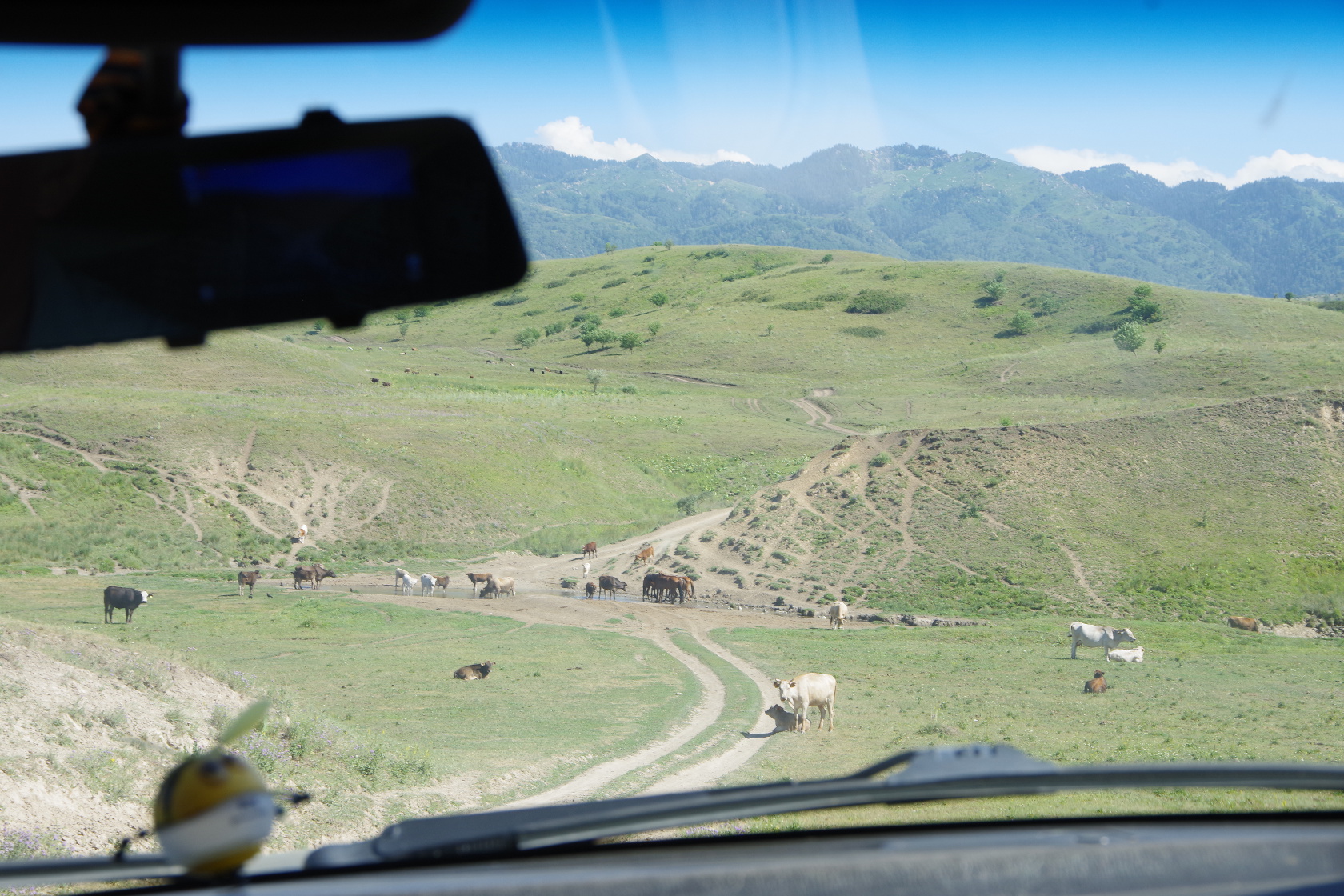 Offroad – zwischen Pferden, Schafen und durch Wasser hindurch