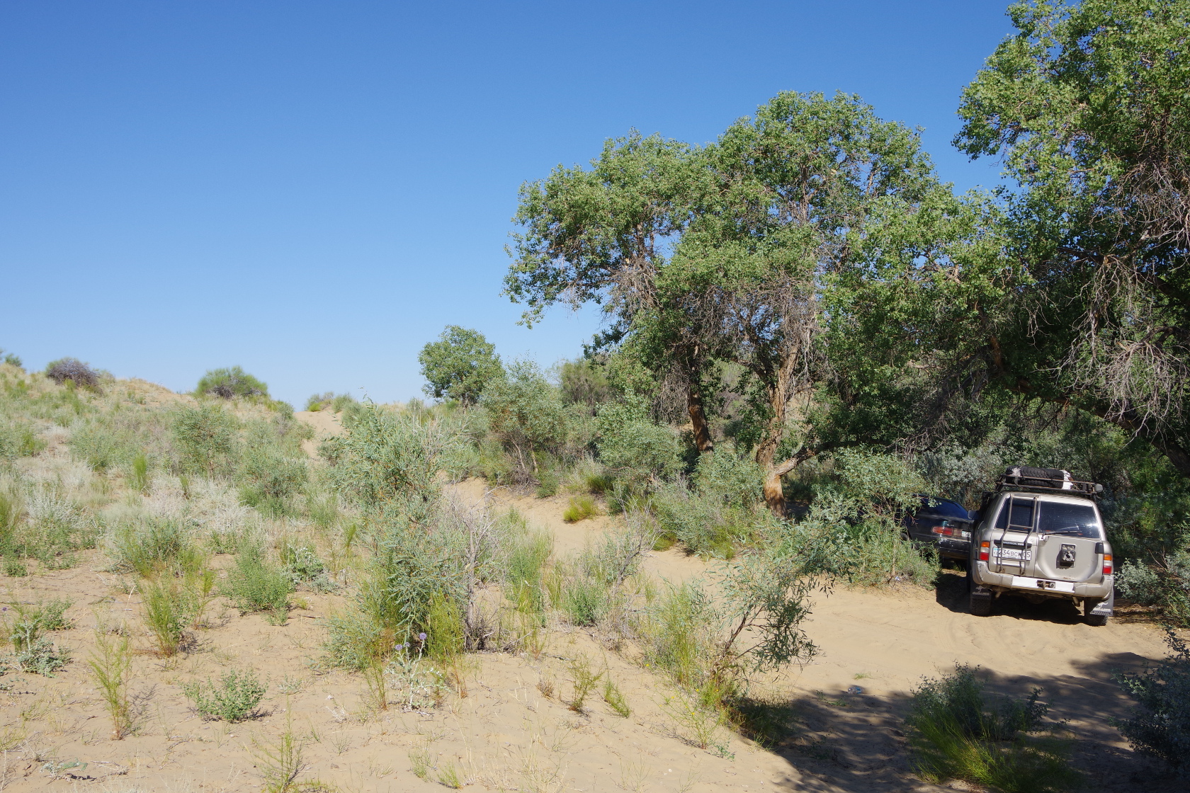 Auf einer Sandstraße zum Salzsee