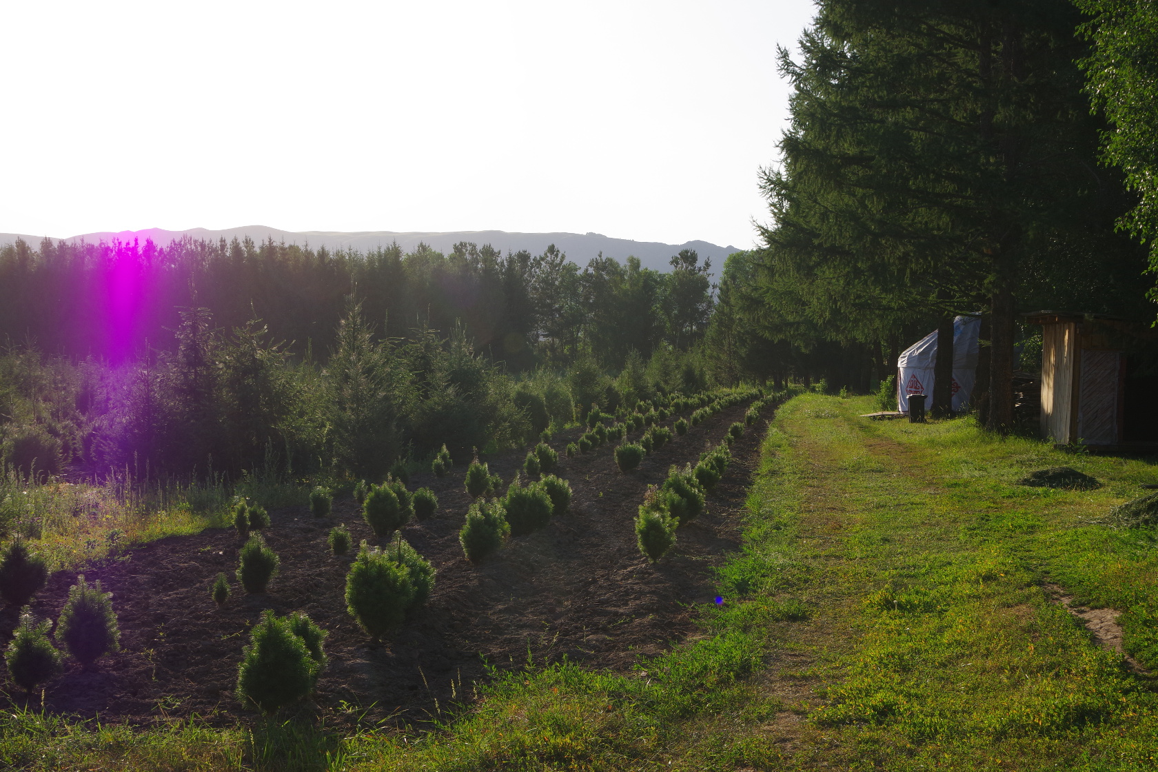 Am Ortsrand von Lepsinsk