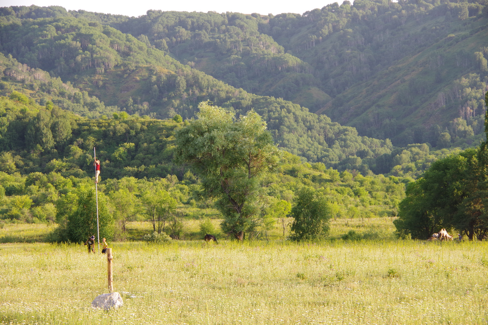Auf dem Weg zum Pferdehof